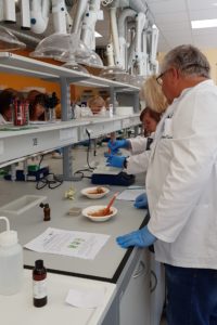 Respublikinė STEAM gamtos mokslų mokytojų vasaros stovykla Telšiuose